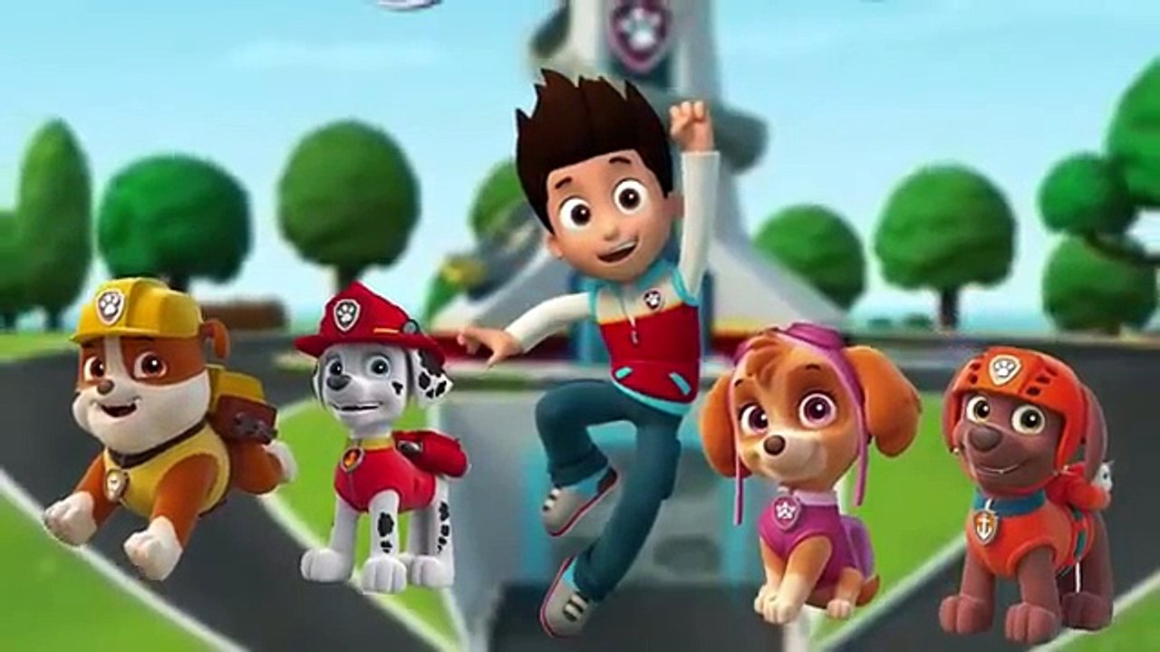 Paw patrol new Finger Family Nursery Rhyme for Children 4K Video
