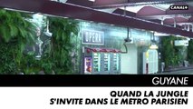 GUYANE - Quand la jungle s'invite dans le métro parisien...