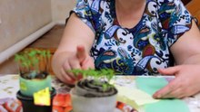 Тонкости выращивания крепкой рассады.