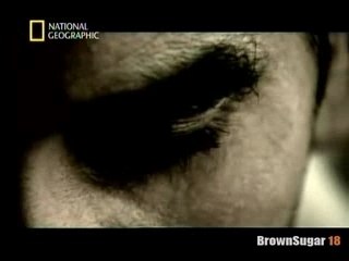 L'espion du 11 Septembre (3)