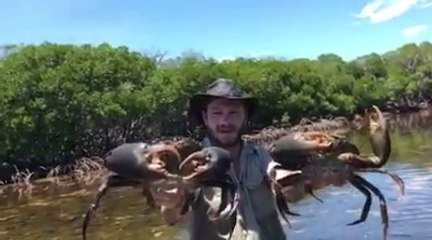 adam nasıl yengeç yakaladı öyle kocaman