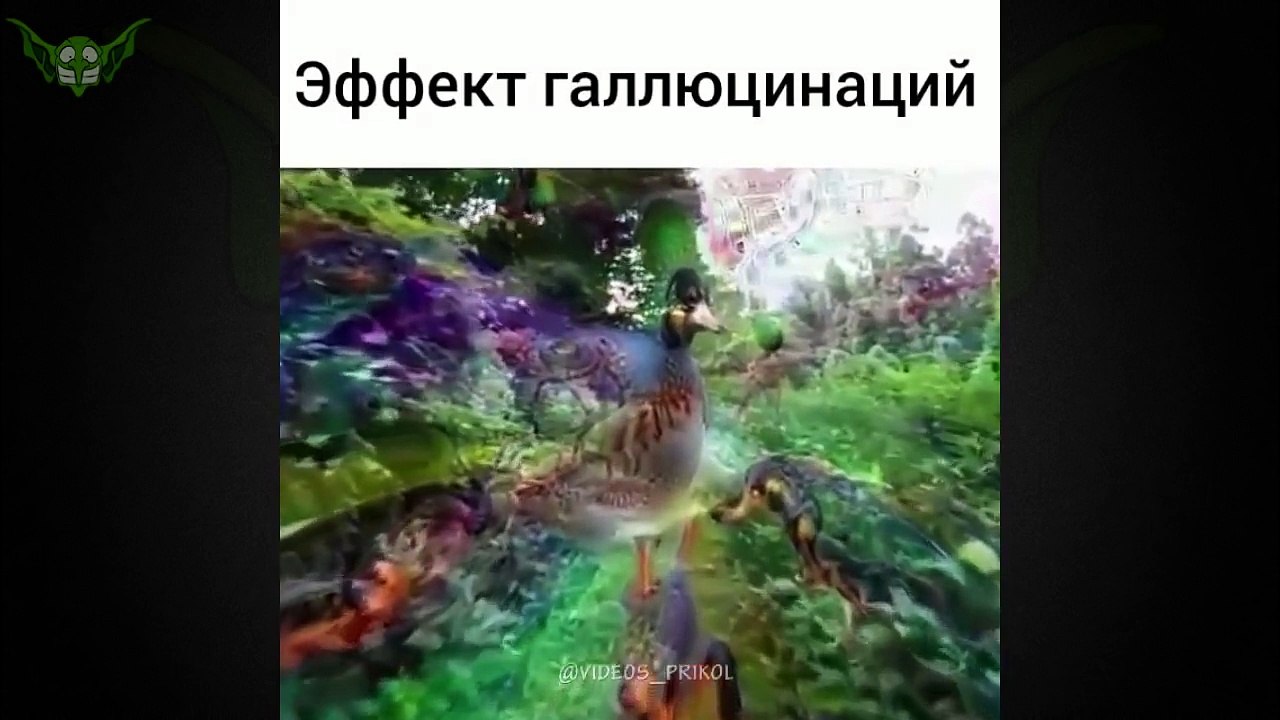 ЛУЧШИЕ ПРИКОЛЫ Недели #133 ТЕСТ НА ПСИХИКУ