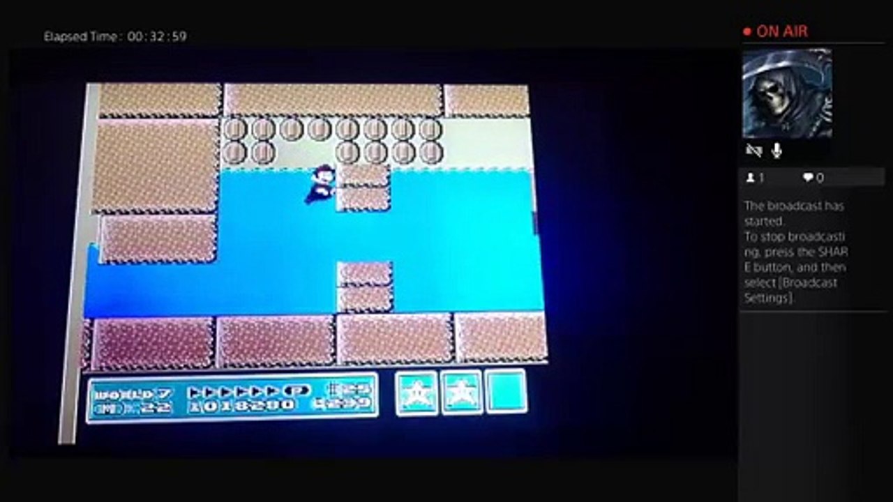 Ninjavigilante live (46)