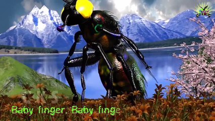 Wild Animals Finger Family Nursery Rhymes For Kids | Elephant Finger Family Song