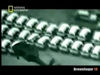 L'espion du 11 Septembre (4)