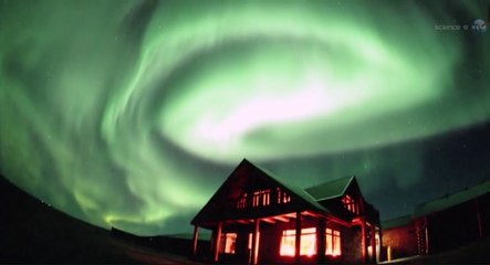 Científicos publican lista de eventos de extinción total