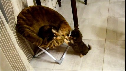 moment complice entre Galice et sa fille Malice 8 semaines