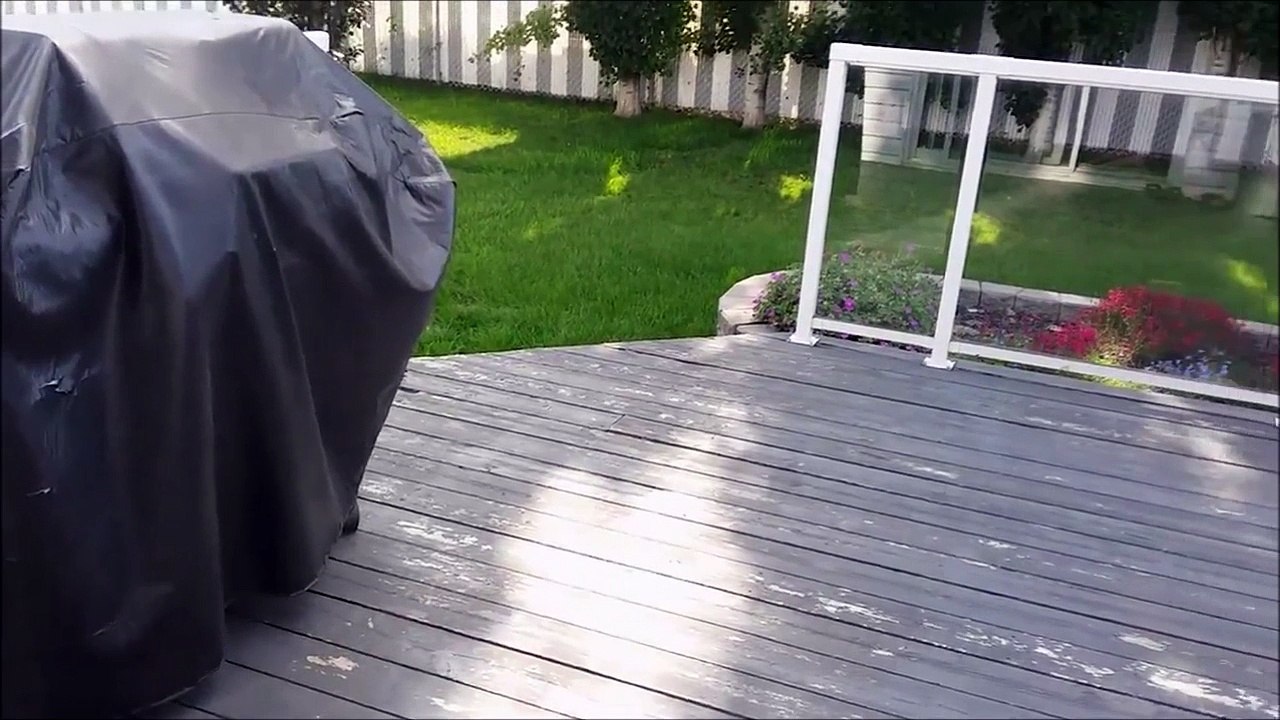 Quand ton chien prefère la bouffe à toi!