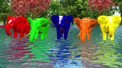 Elephant Color song Collection || Nursery Rhymes Color Songs With Lyrics || Kids 3D Rhymes