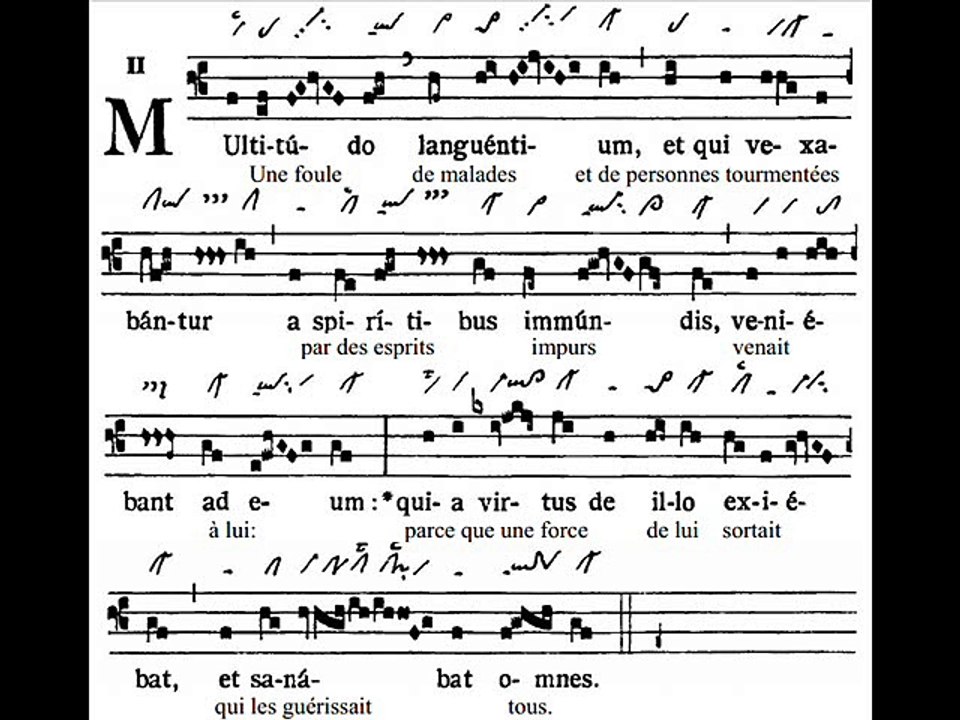 Communio Multitudo, Dominica V TpA (5 TO)
