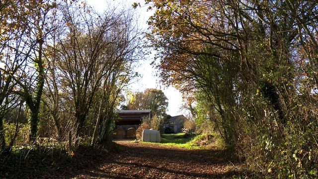 Fine la vache du Salon de L'agriculture 2017 - Mathieu Hamon