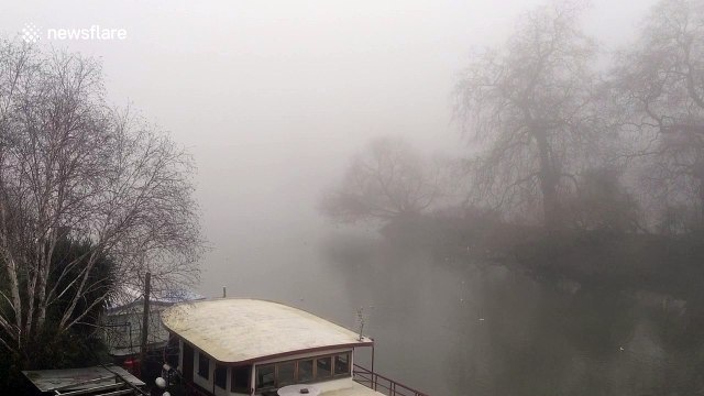 Heavy fog descends on London
