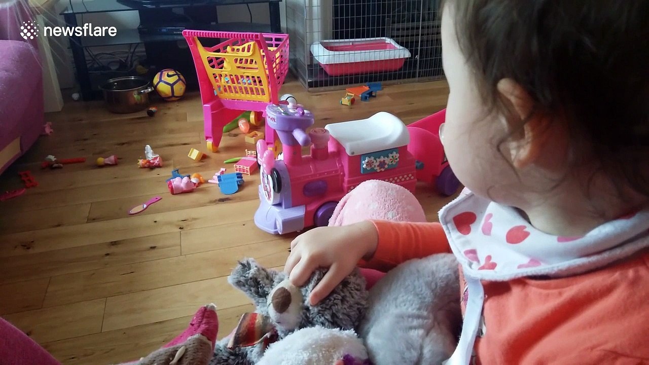 Kitten robs toddler's teddybear