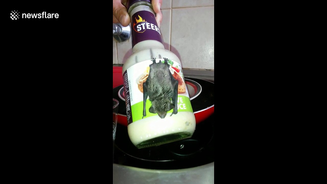 Just a bat on a sauce bottle