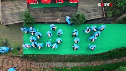 Birbirinden Tatlı Bebek Pandalar ve Bakıcıları