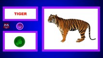 Learn Wild Animals & Animal Names for kids children | Fun Game Learning Animals in English