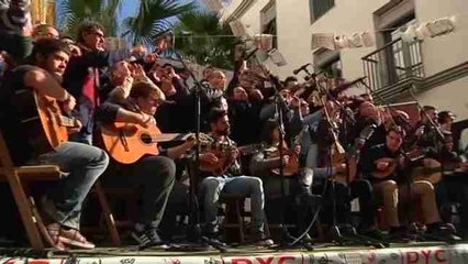 Erizos y ostiones abren en Cádiz el apetito de coplas del carnaval