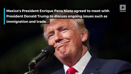 Mexico's president agrees to meet with Donald Trump