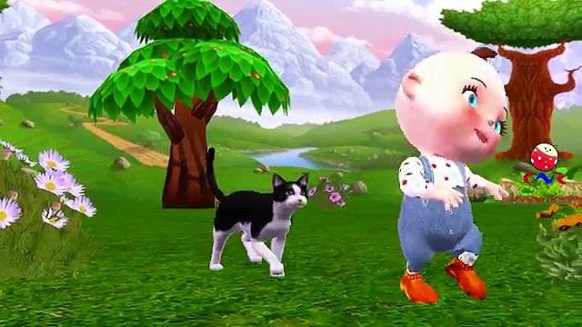 Little Baby Funny Cats Videos Compilation | Five Little Babies Three Little Kittens Nursery Rhymes