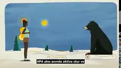 İşte Stres Oluşumu ve Çözüm Yolları