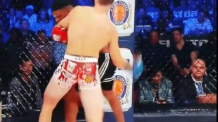 Paul Daley vs Brennan ward huge KO