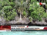 Pantai Nunuhu, Tempat Wisata Favorit Baru di Morotai