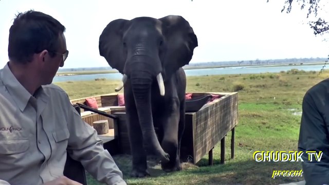 МЕГА ПРИКОЛЫ!!!ЛУЧШИЕ ПРИКОЛЫ отЧУДИК ТВ!!FUNNY/JOKES/COMPILATION #42