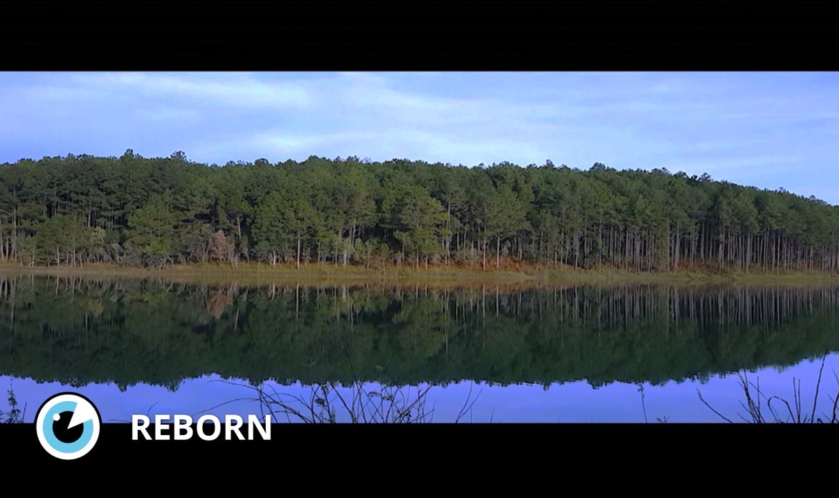 Reborn - Court-Métrage - Mobile Film Festival 2017