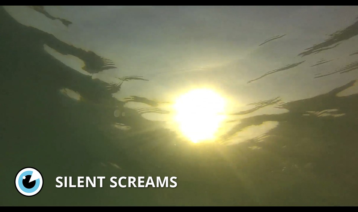 Silent Screams - Court-Métrage - Mobile Film Festival 2017