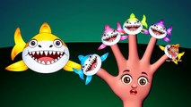 Shark Finger Family Nursery Rhyme | Shark The Sea Animal Finger Family Song | Funny Rhyme with Shark