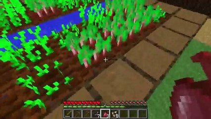 Minecraft sobrevivendo em dupla - Vivendo na vila