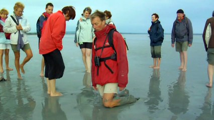Romain Pilon - Balade littéraire en Baie du Mont Saint Michel