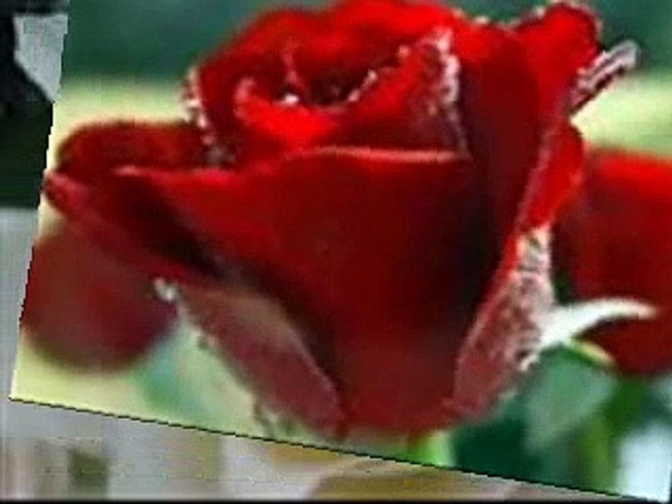 Gerard Joling - Blijf bij mij-nP40xZzir6Q-HQ