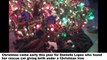 This teen found her cat giving birth to some adorable kittens under the Christmas tree