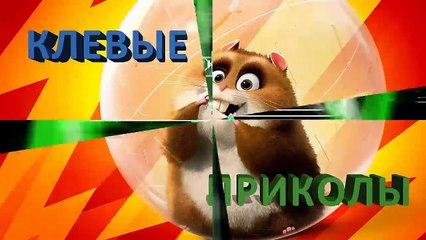 Видео приколы на дороге. Антиэвакуатор - и ведь не поспоришь