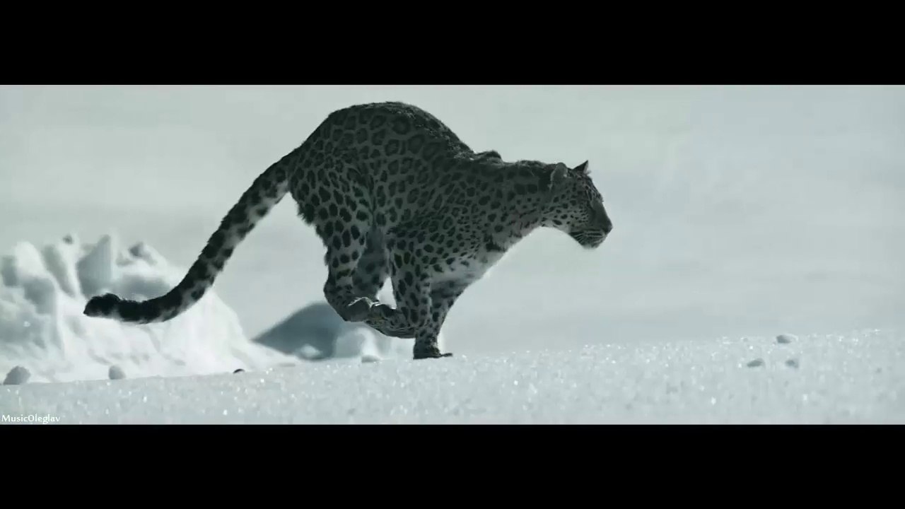 Nightcore - Dernière Danse (Indila)