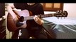 Faded - Alan Walker / Acoustic Guitar Fingerstyle (Nedel) TAB FREE