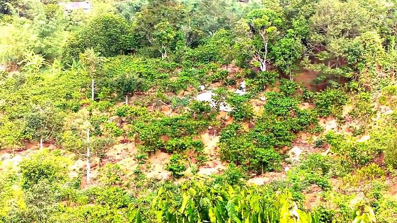Về Lộc Nam, Bào Lâm, Bảo Lộc, Lâm Đồng - 2016