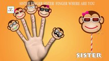 Monkey Cake Pop Finger Family Nursery Rhymes | Cake Pop Finger Family Songs For Children in 3D