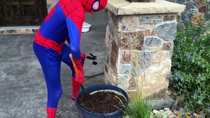 Bad Baby Victoria Messy Toy Room Fail Annabelle Toy Freaks Family Hidden Egg In 4K