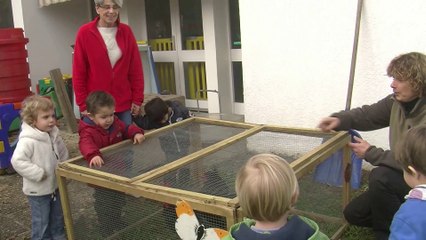 Multi-accueil Françoise Dolto : les activités pédagogiques