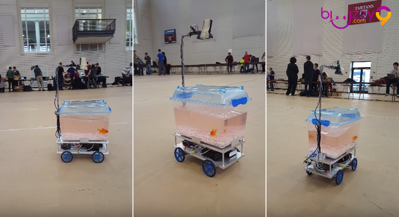 Une étrange robot aquarium permet aux poissons de se déplacer d'eux-mêmes