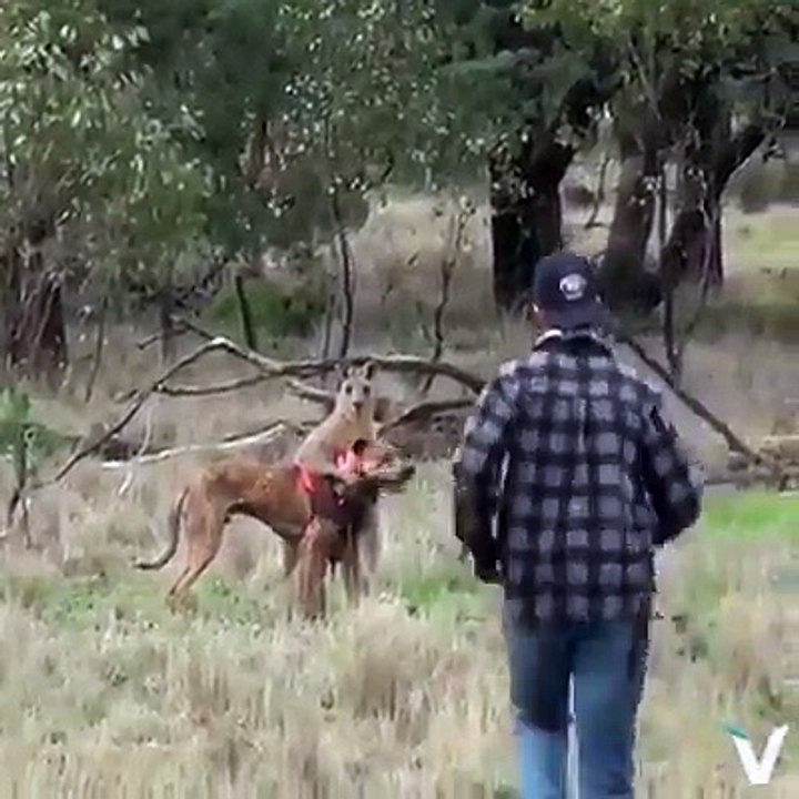 Bunuda Gördük