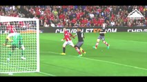 Paul Pogba & Zlatan Ibrahimovic ► Skills and Goals 2017  HD