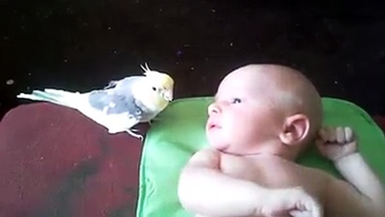 amazing love............