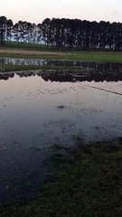 Pescaria de Traíras na isca artificial em Bagé - RS (Brasil) - (Fishing)