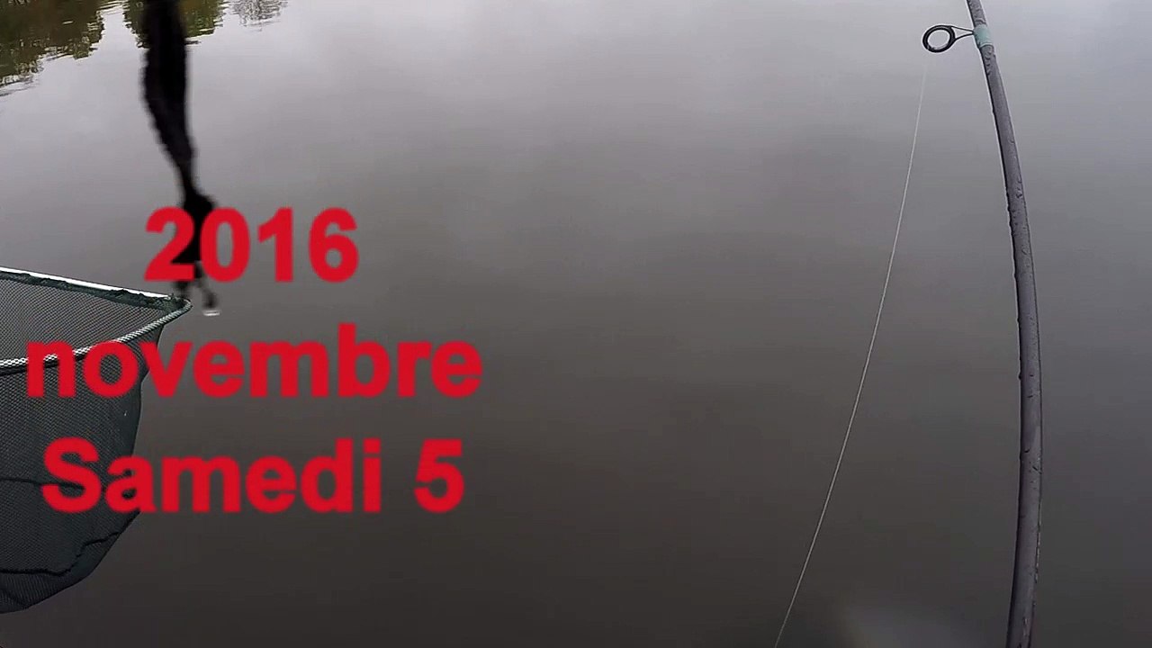 Pêche d'un gros brochet de 113,5 cm en lac !