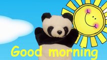 MR.PANDA SHOW EPISODE  1 | Whats this? | Babies and Kids Channel | for children and toddlers