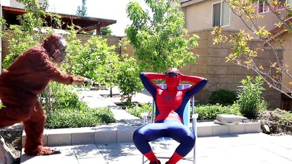 Rocky & Marshall in Jail! w/ Princess Rapunzel, Joker, Paw Patrol Chase & Skye in Real Life