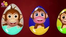 Monkey Surprise Egg |Surprise Eggs Finger Family| Surprise Eggs Toys Monkey